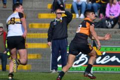 County Football League - Division 1 Final 2015