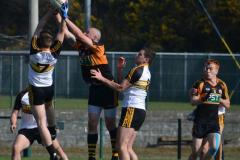 County-Football-League-Division-1-Final-2015-03