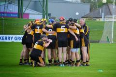 Intermediate-Hurling-Championship-Final-2014-04